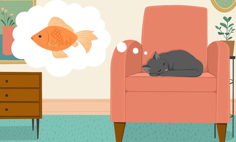 Түсінде кішкентай мысық көрсе / Кішкентай Мысықтың Құпиялары