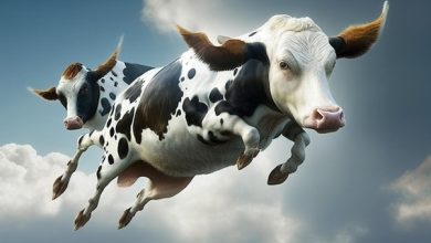 Түсінде сиыр қуса не болады