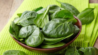 Саумалдың емдік қасиеті 2024