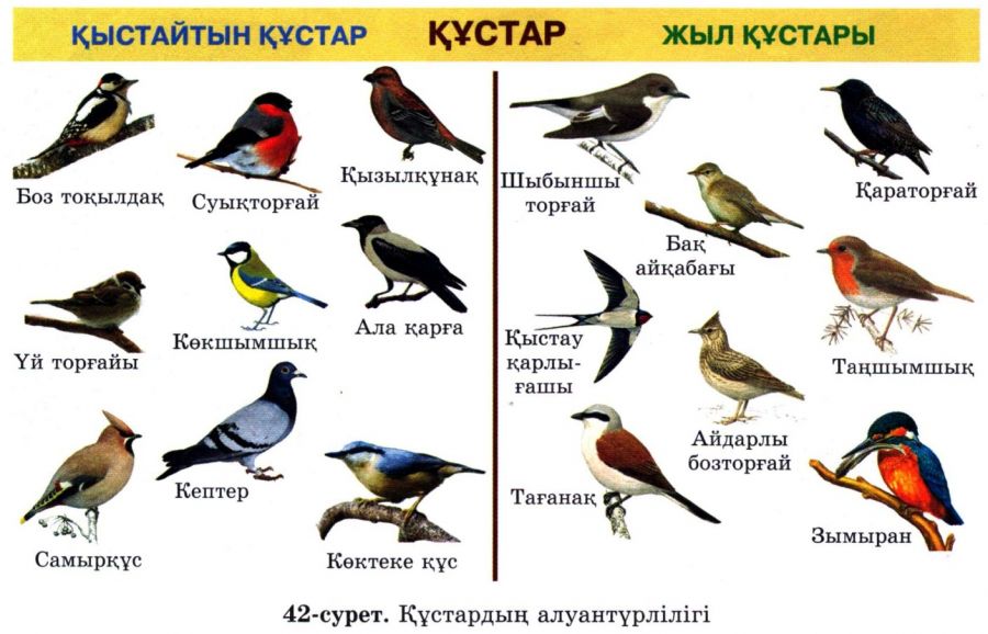 Орыс порно жұлдыздарының бейнелері