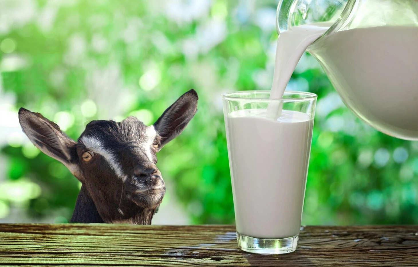 Жалаңаш қыздар сикке отырады Сексуалдық робот жасалды.