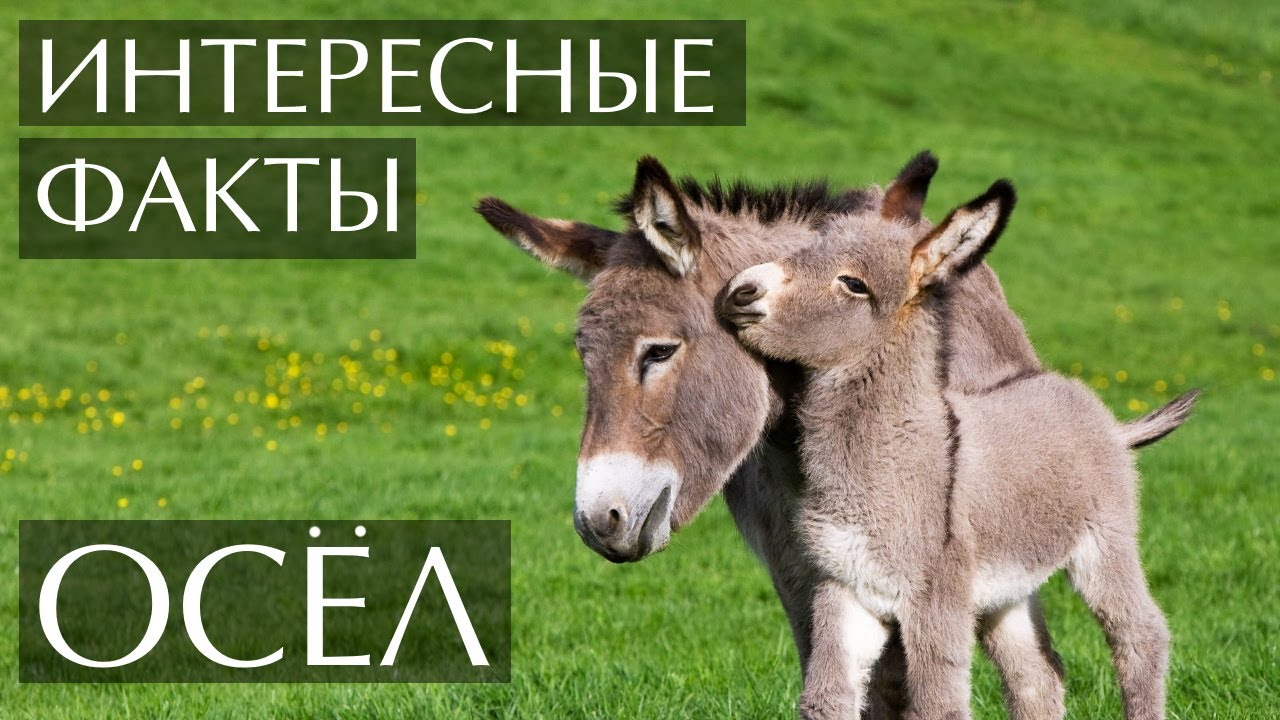 Көрсетілген барлық жалаңаштарды қараңыз