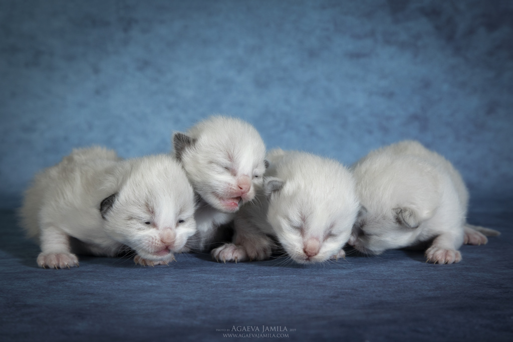 Орыс порно видео онлайн әжелер