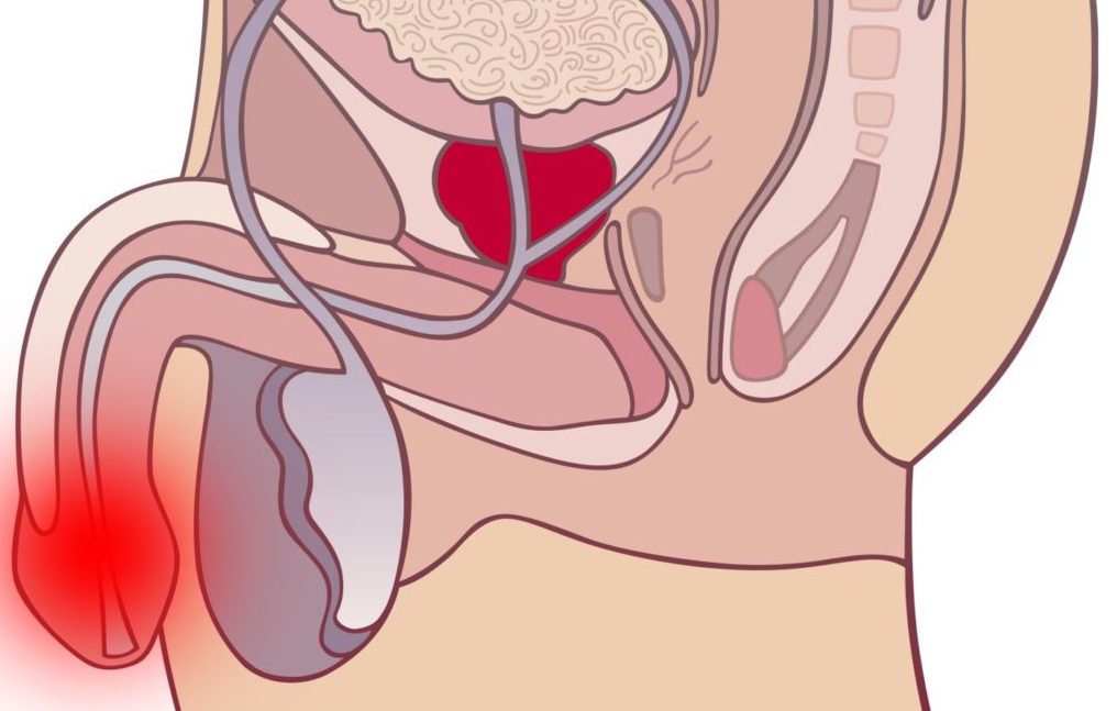 Үлкен әтештері бар қара ерлер секс видео