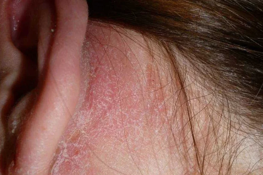 Гараждардың артындағы блять