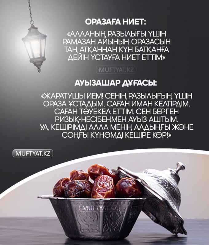 Порно гей транссексуал кроссссинг