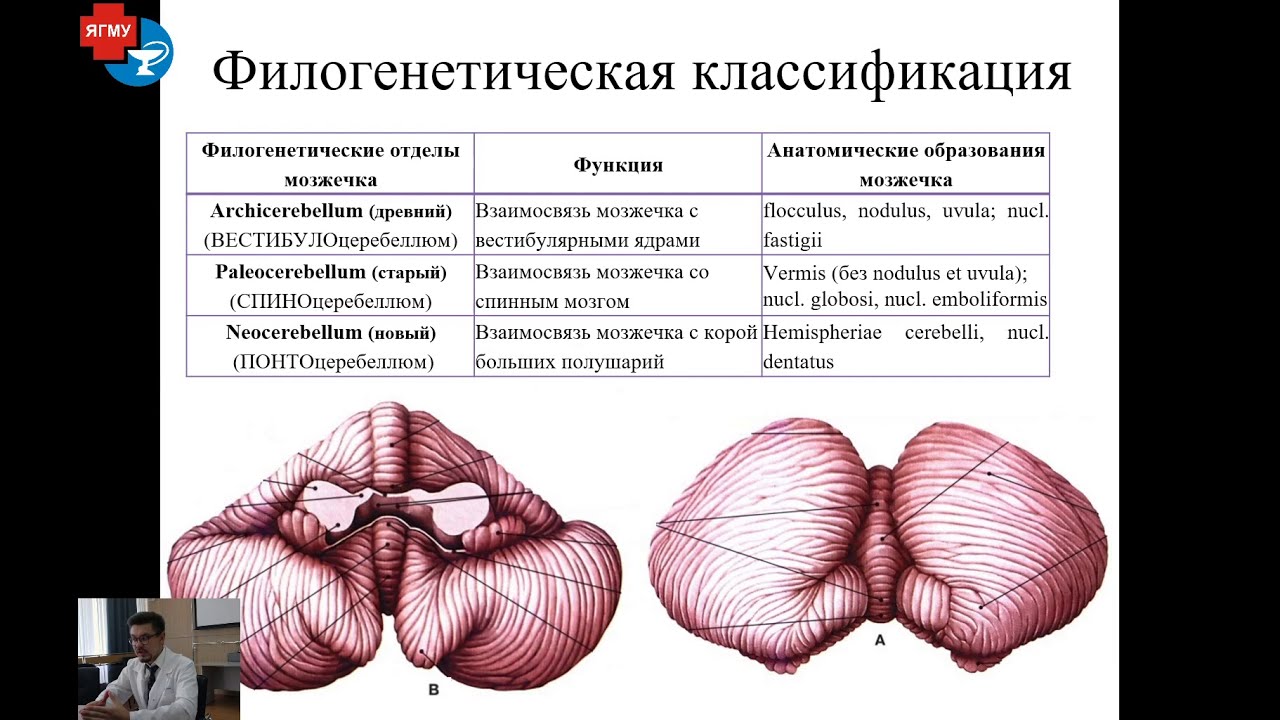 Бетперде киген еркектер